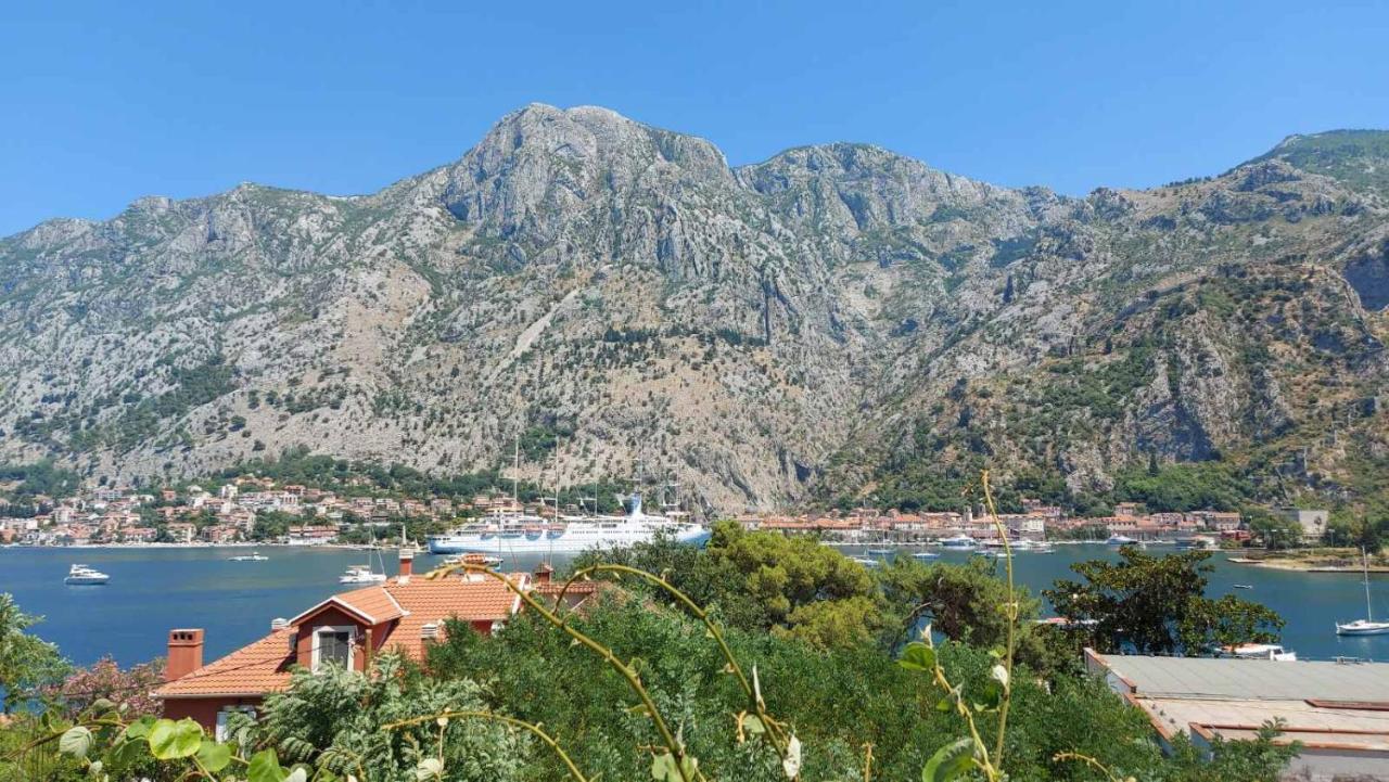 Apartman M&b Kotor